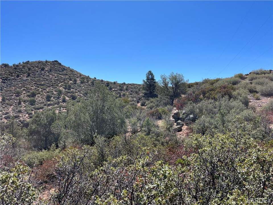 36.6 acres in Kingman in Kingman: Manzanita, Pinion Pine, Juniper, and Scrub Oak are
