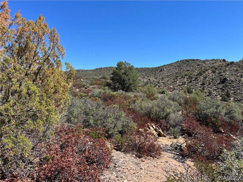 36.6 acres in Kingman in Kingman: View