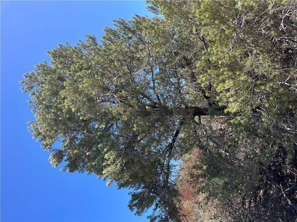 36.6 acres in Kingman in Kingman, photo 8