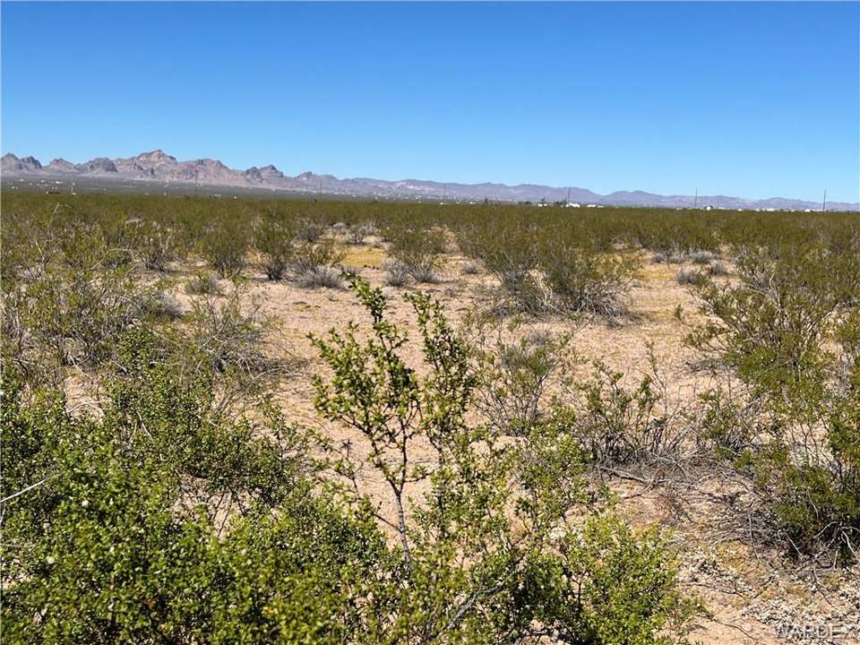 9.08 acres in Golden Valley in Golden Valley: Looking to the West from from of 215-14-287 parcel