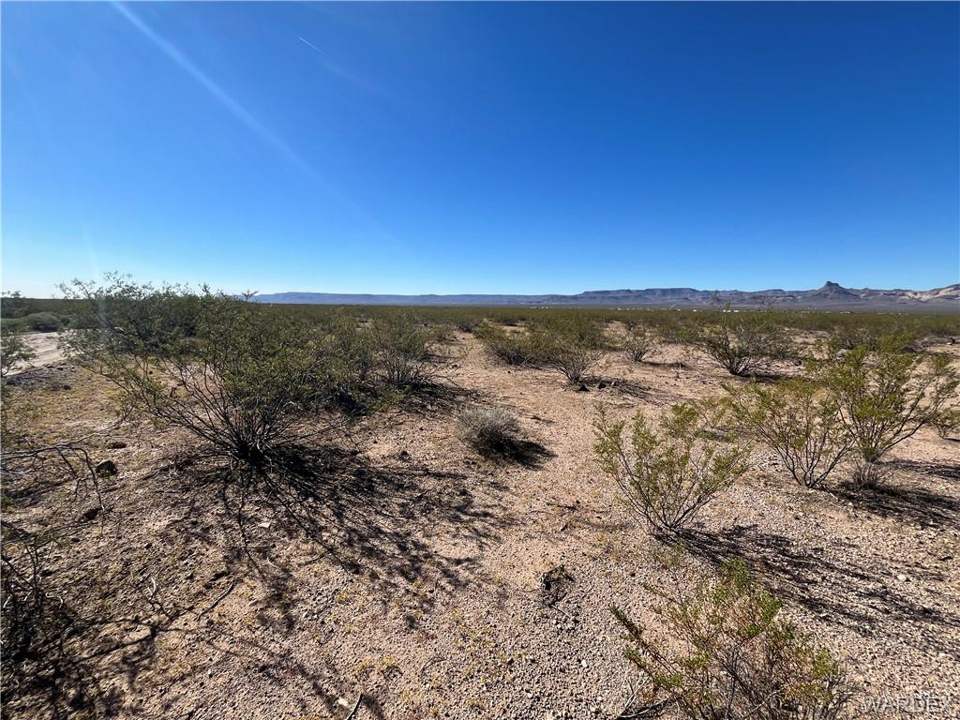 9.08 acres in Golden Valley in Golden Valley: Naturally Udisturbed Low Desert Vegetation dots th