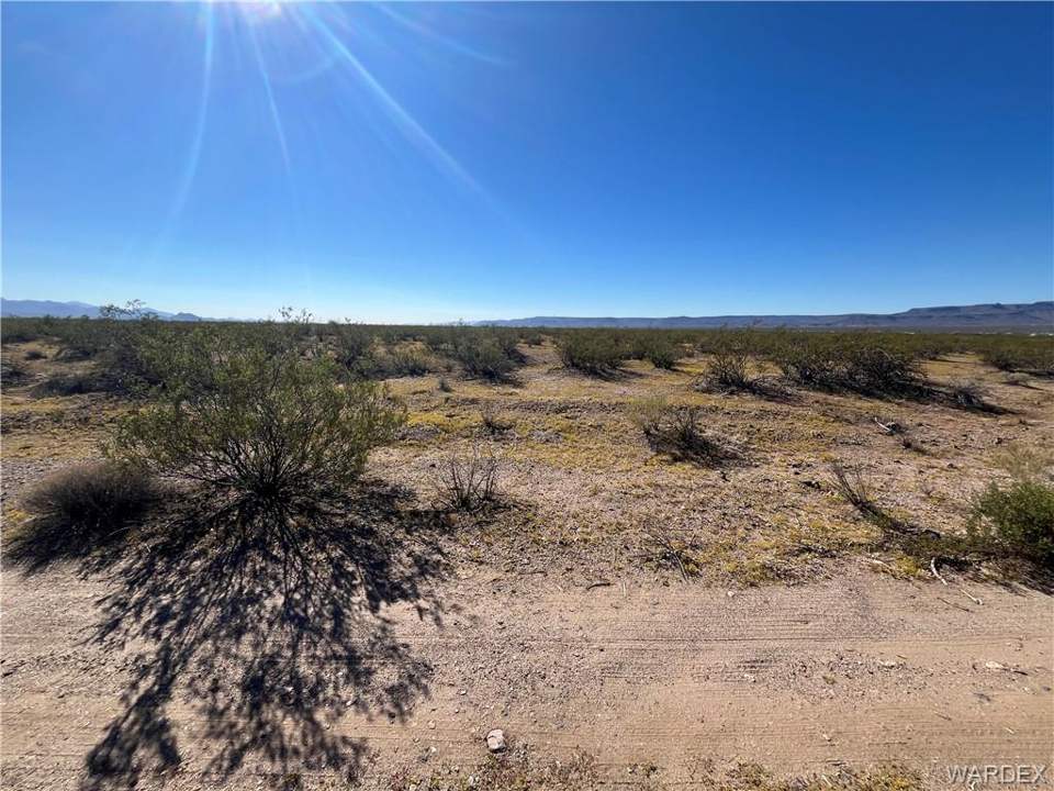 9.08 acres in Golden Valley in Golden Valley: Looking to the South from the North Property Line