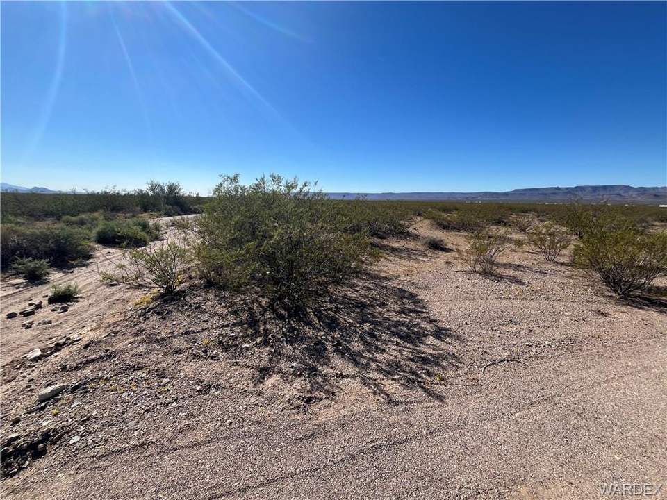 9.08 acres in Golden Valley in Golden Valley: Looking to the SE from North Property Line on Tolu