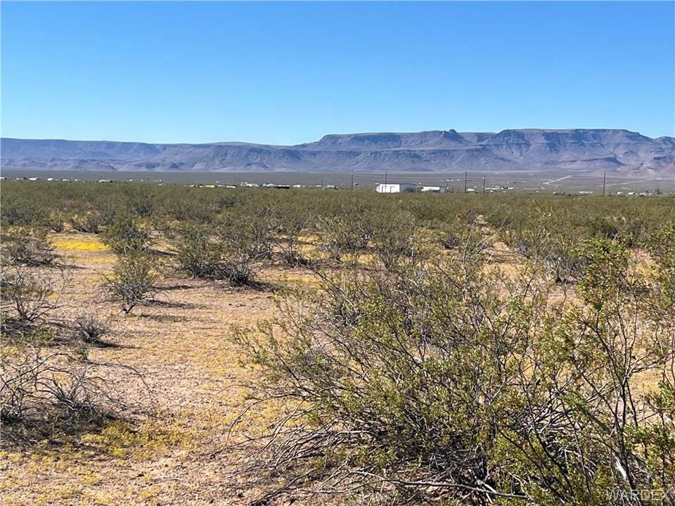 9.08 acres in Golden Valley in Golden Valley: Looking to the North from Near Center of Parcel on