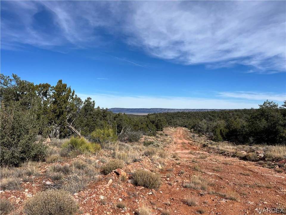 39.33 acres in Seligman in Seligman: Duffi's Bluff Rd, at property, looking north