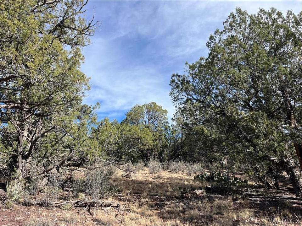 39.33 acres in Seligman in Seligman, photo 10