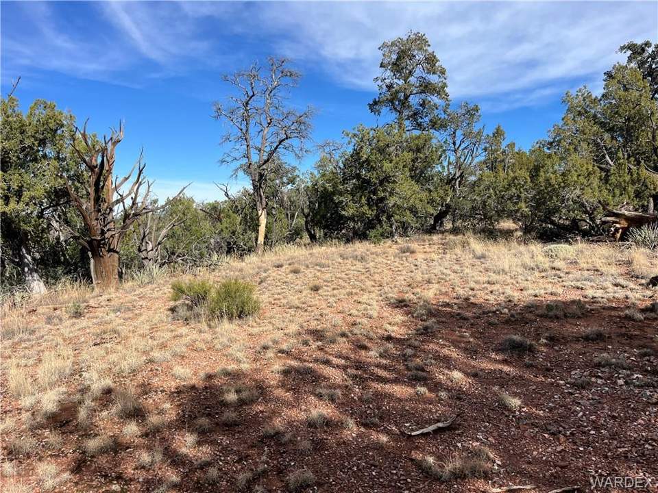39.33 acres in Seligman in Seligman: Second possible building spot, closer to access ro