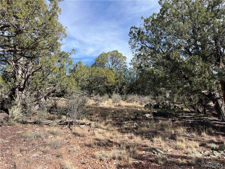39.33 acres in Seligman in Seligman, photo 9