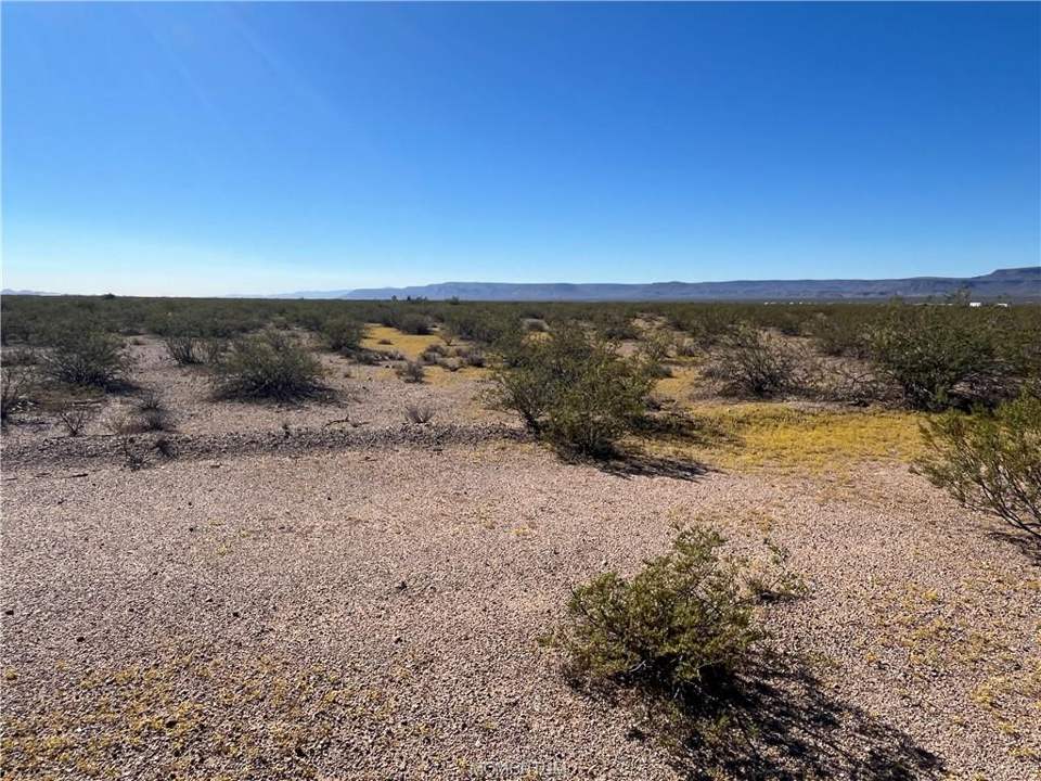 2 acres in Golden Valley in Golden Valley: Looking to the SW from Inside the Parcel