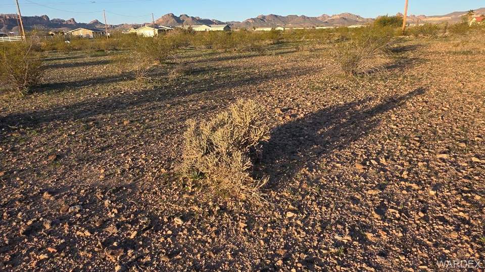 9.99 acres in Golden Valley in Golden Valley: View of yard featuring a mountain view