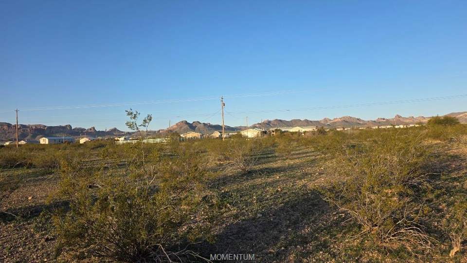 9.99 acres in Golden Valley in Golden Valley: View of local wilderness
