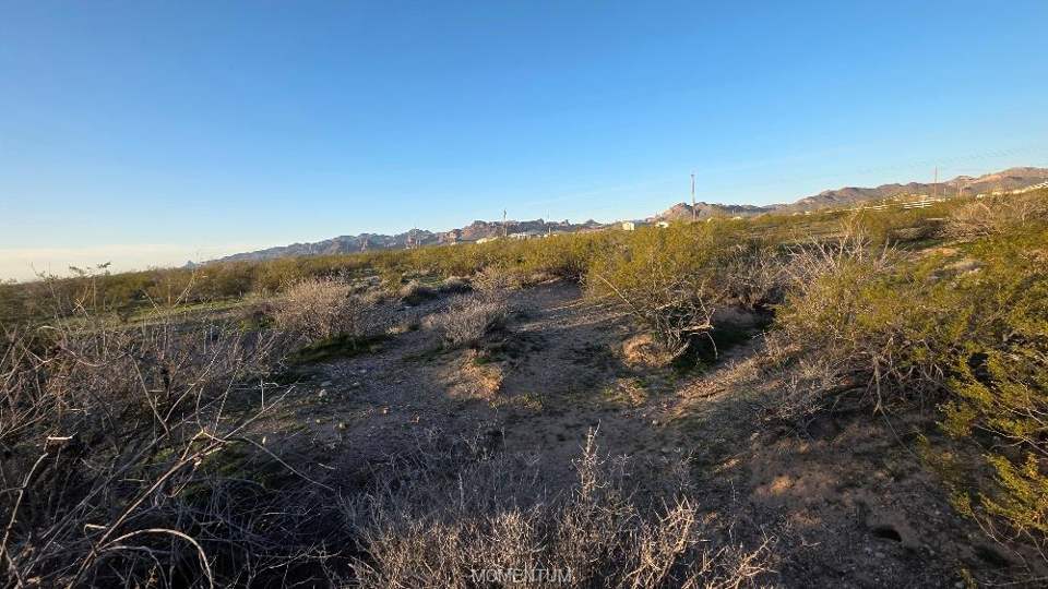 9.99 acres in Golden Valley in Golden Valley: View of local wilderness with rural landscape
