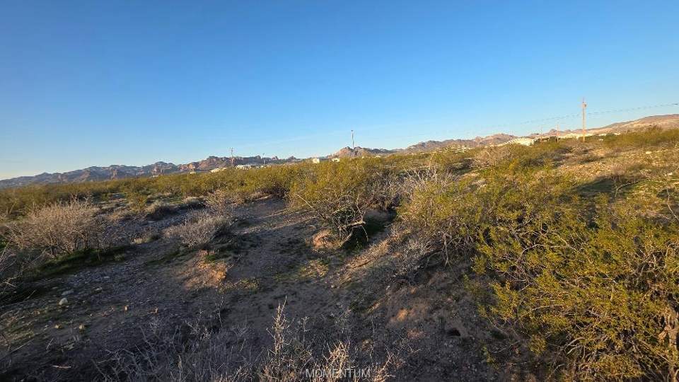 9.99 acres in Golden Valley in Golden Valley: View of nature with a mountain backdrop and rural