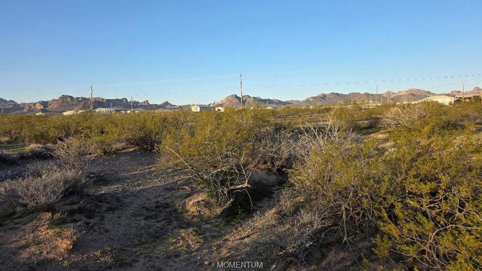 9.99 acres in Golden Valley in Golden Valley: View of undeveloped land with a mountainous backgr