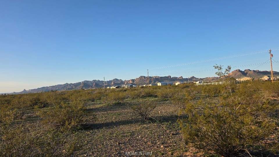 9.99 acres in Golden Valley in Golden Valley: View of yard with a mountain view