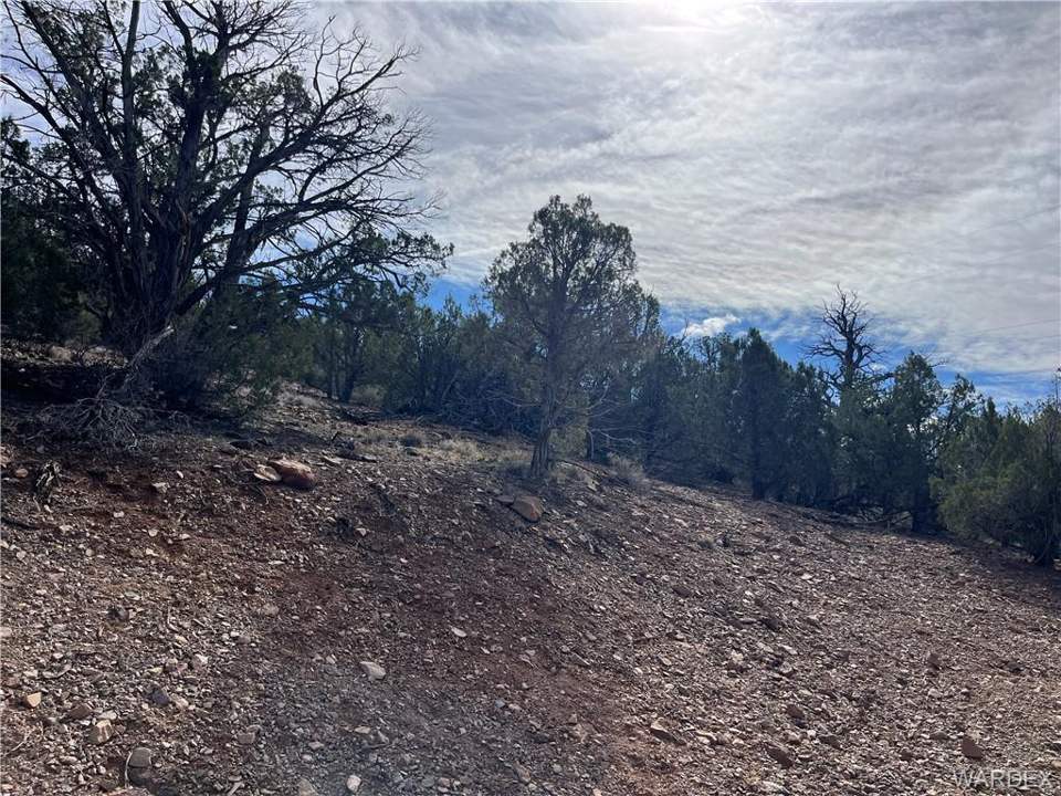 36.3 acres in Kingman in Kingman: Looking east from camping pad.