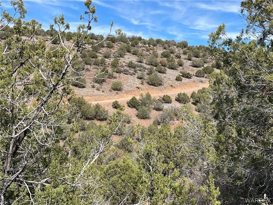 36.3 acres in Kingman in Kingman: Looking north at northern portion of property. It'