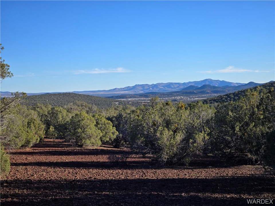 36.1 acres in Kingman in Kingman: View
