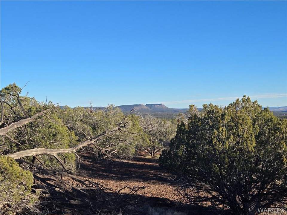 36.1 acres in Kingman in Kingman: View