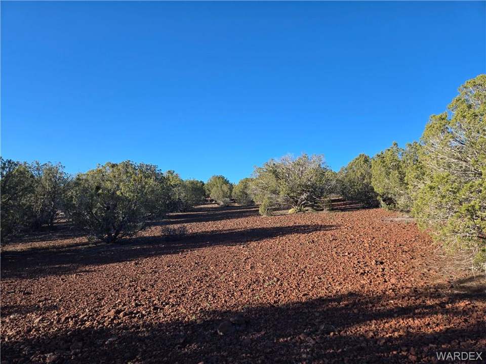 36.1 acres in Kingman in Kingman, photo 3