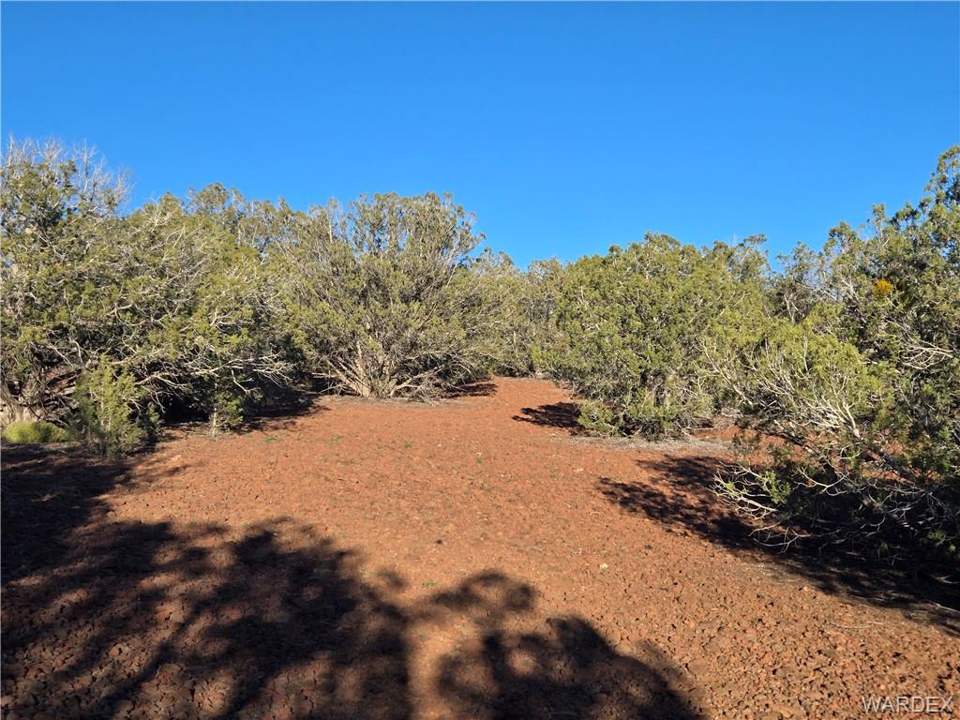 36.1 acres in Kingman in Kingman, photo 6