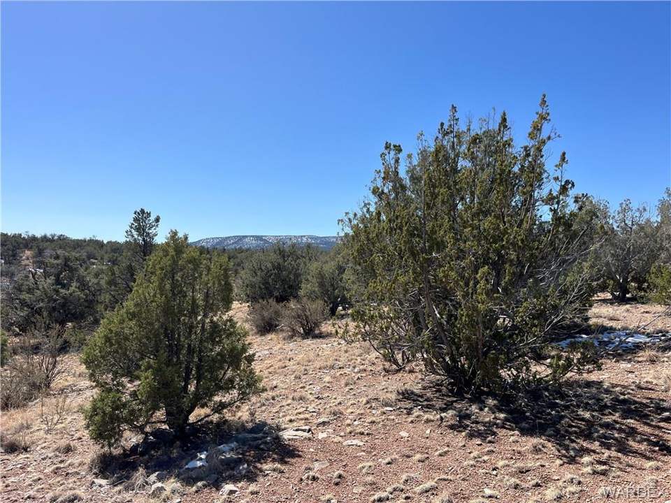 2.67 acres in Seligman in Seligman: View