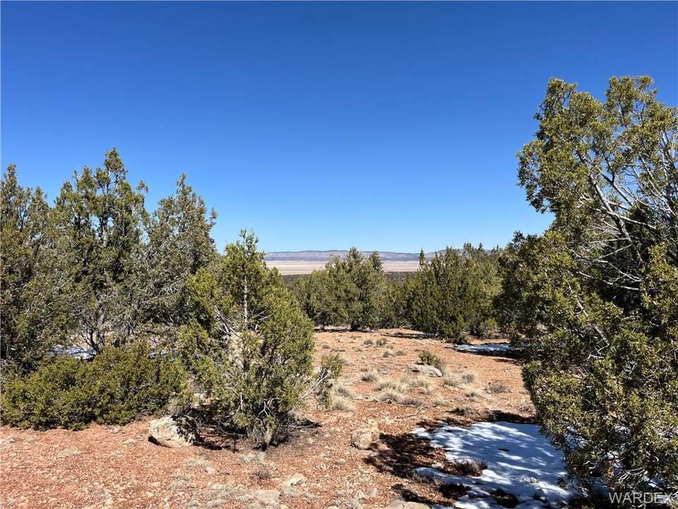 2.67 acres in Seligman in Seligman: View