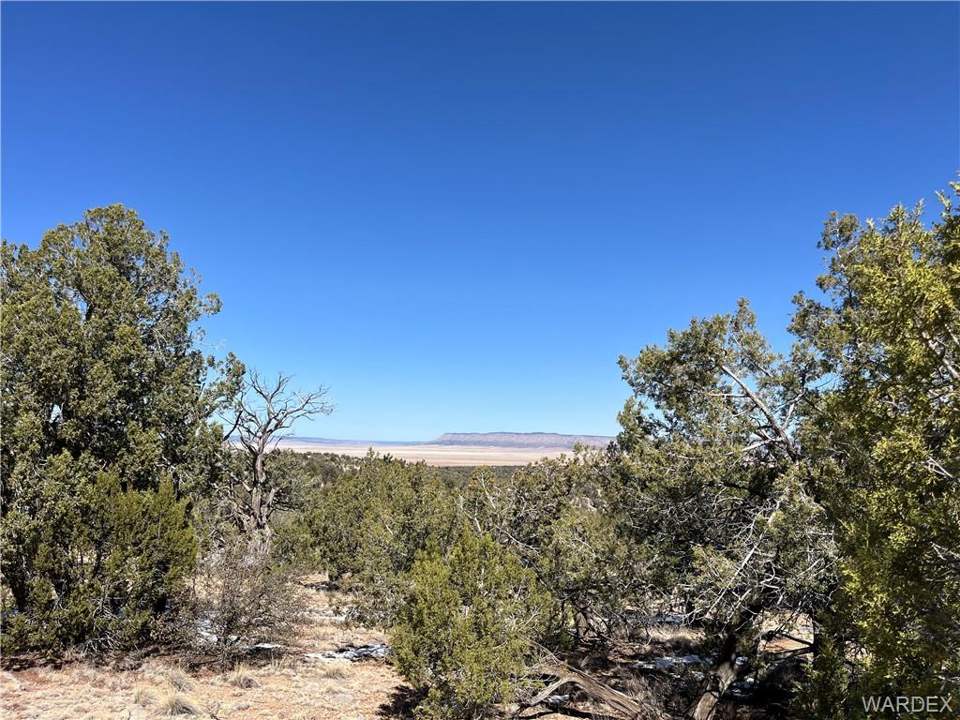 2.67 acres in Seligman in Seligman: View