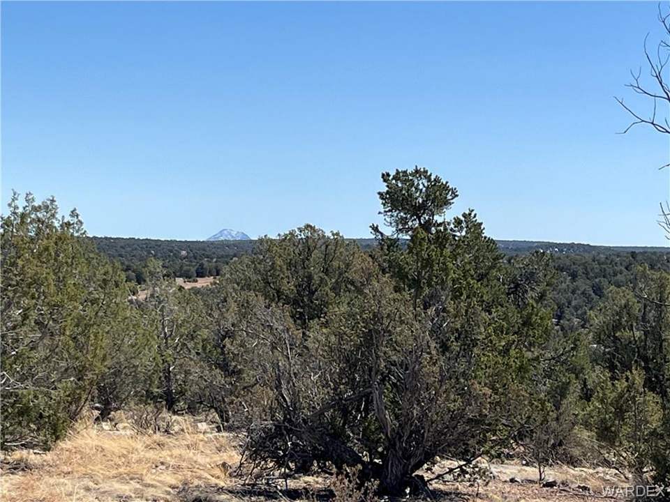 2.67 acres in Seligman in Seligman: View