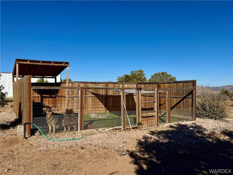 40.83 acres in Hackberry in Hackberry: Dog run