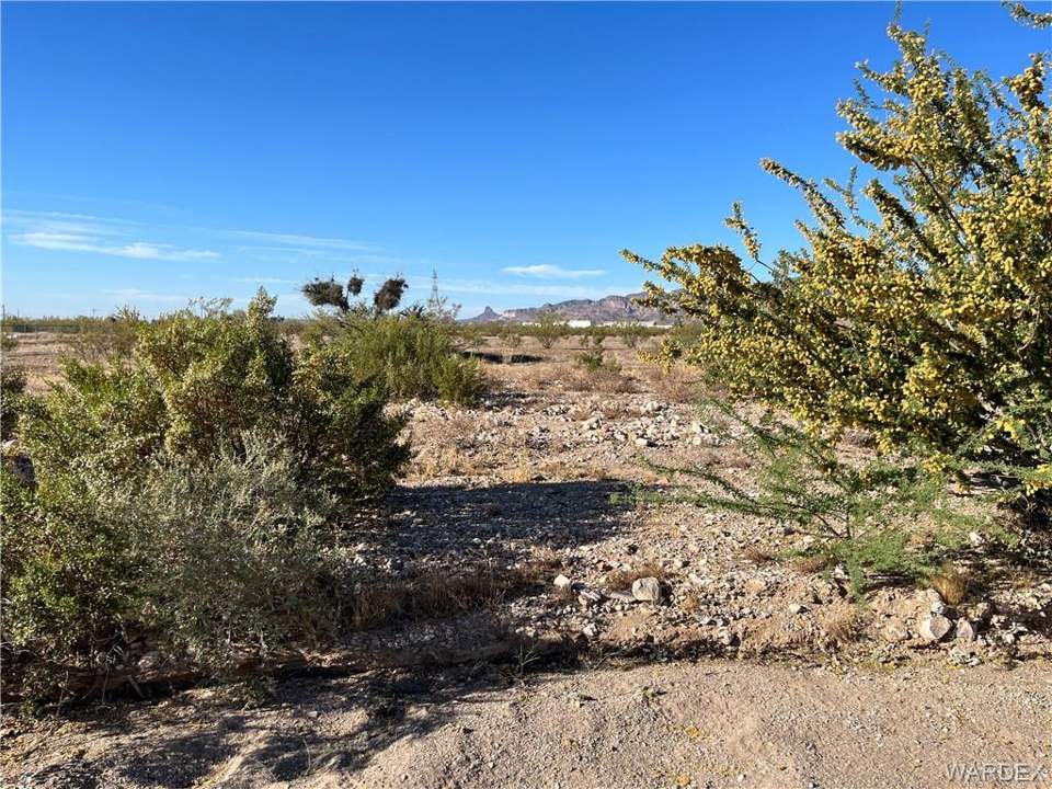 1.25 acres in Golden Valley in Golden Valley: Naturally Low Desert Vegetation
