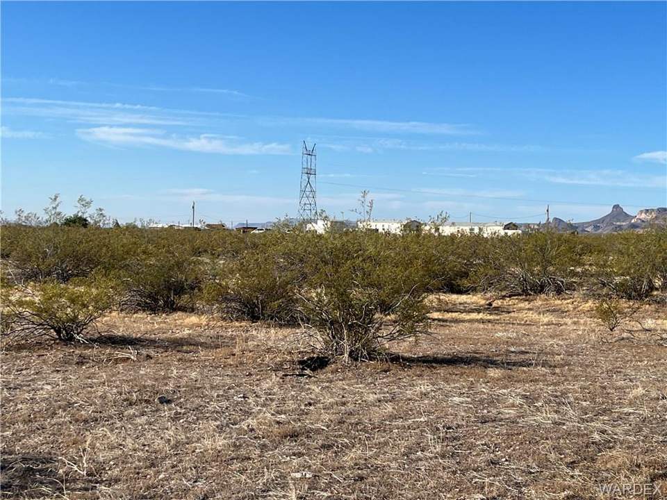 1.25 acres in Golden Valley in Golden Valley: Looking South Along South Property Line for 306-53