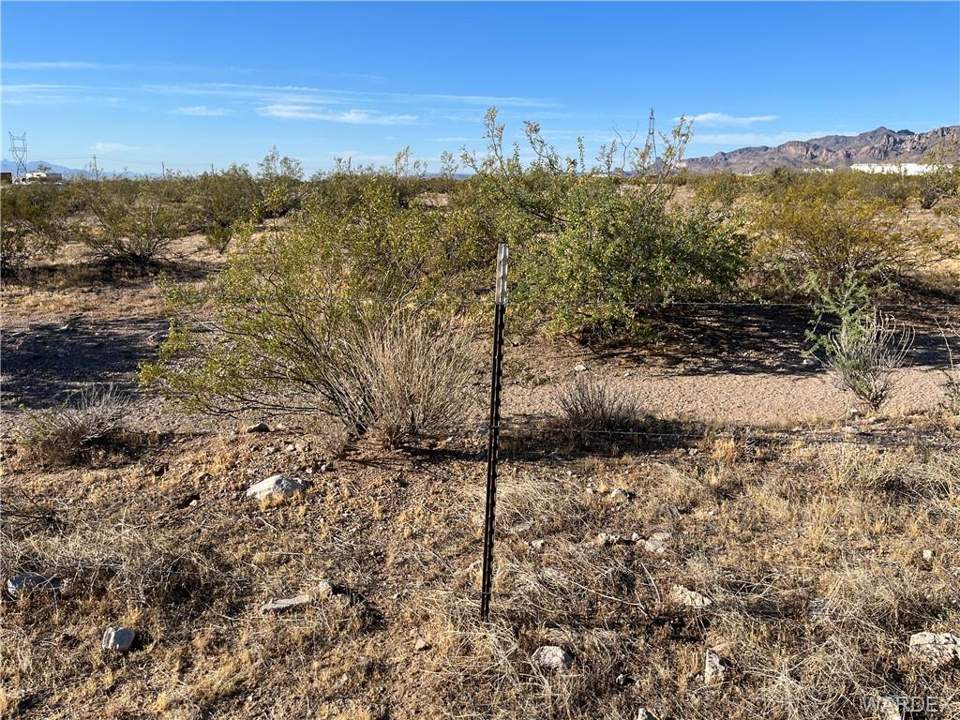 1.25 acres in Golden Valley in Golden Valley: Looking South from South Property Lin (Fenced) Nea