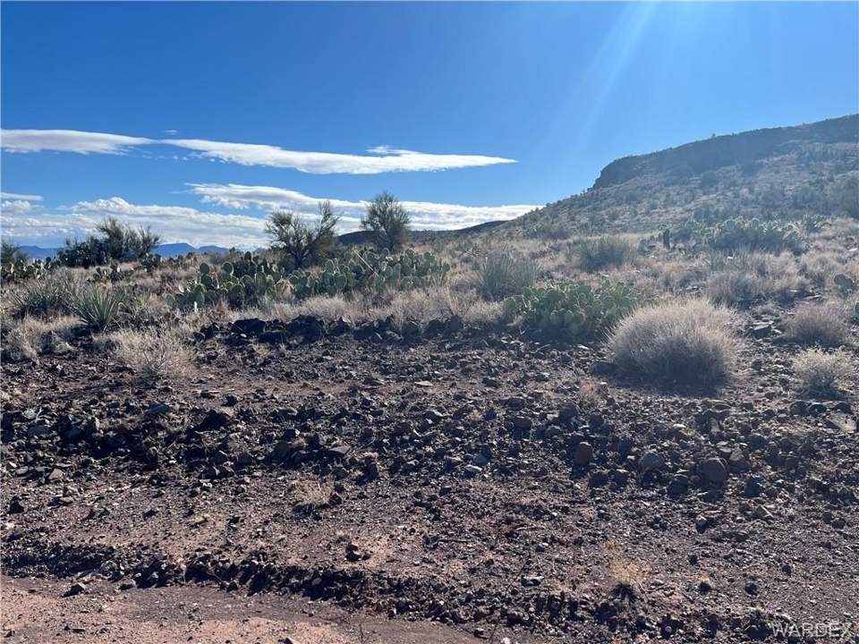 40.87 acres in Kingman in Kingman: Standing at the South Property Line Looking Almost
