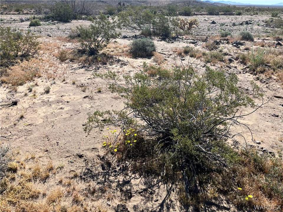 9.4 acres in White Hills in White Hills: Natural High Desert Vegetation Dots the Nearly 10