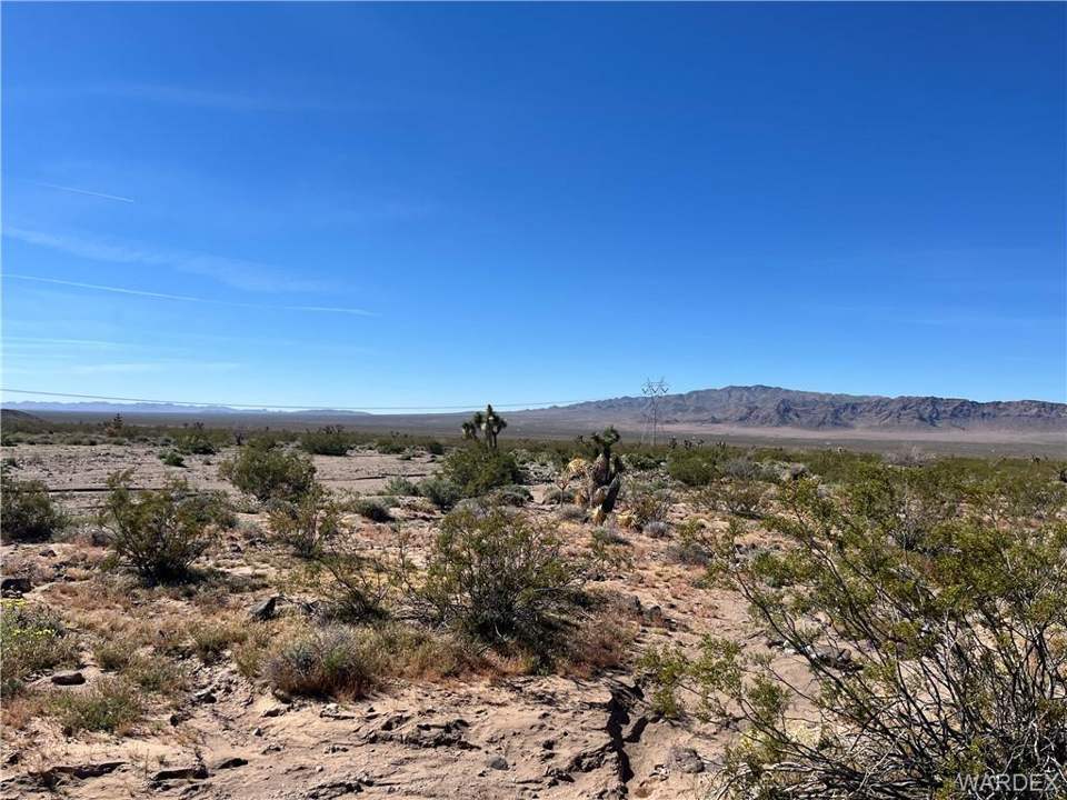 9.4 acres in White Hills in White Hills: Near Center of Parcel Close to North Property Line