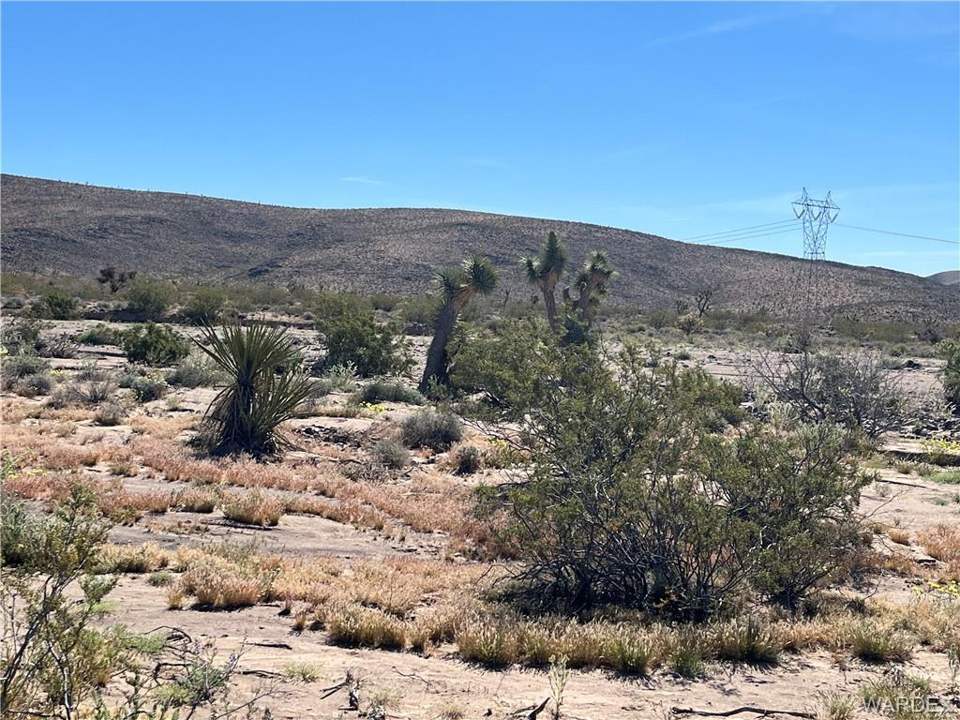 9.4 acres in White Hills in White Hills: Near Center of Parcel Looking to the SE