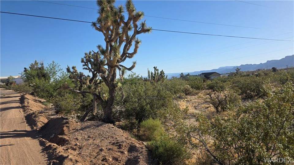 0.66 acres in Meadview in Meadview, photo 2