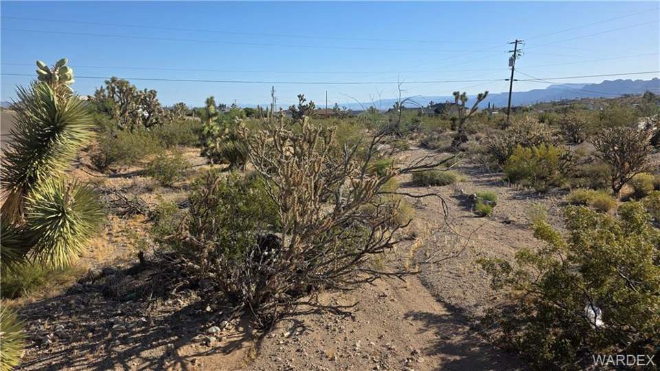 0.66 acres in Meadview in Meadview, photo 4