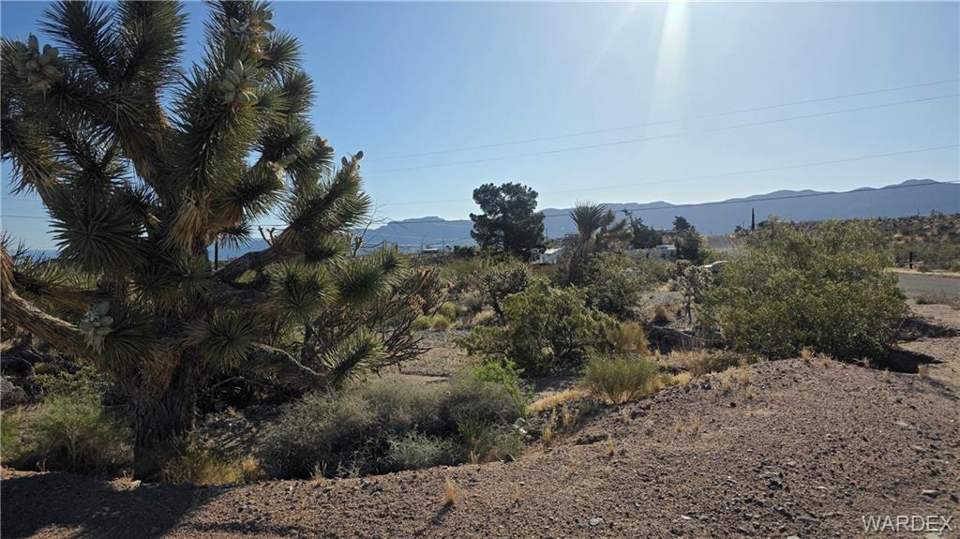 0.66 acres in Meadview in Meadview: View