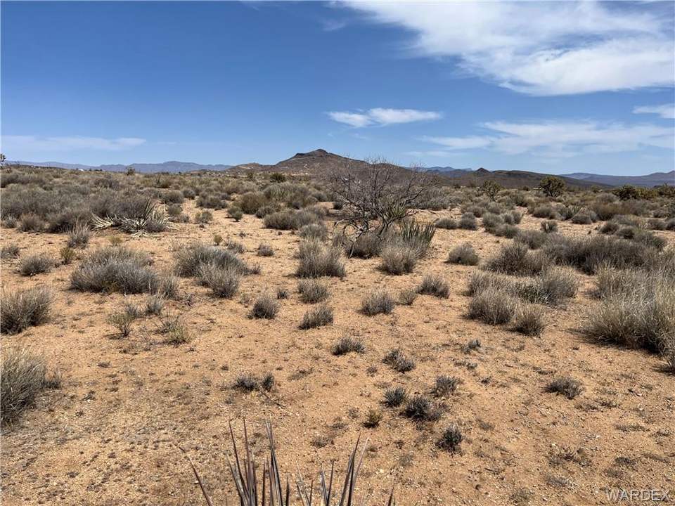 2.13 acres in Kingman in Kingman: Looking to the North from the East Parcel Line of