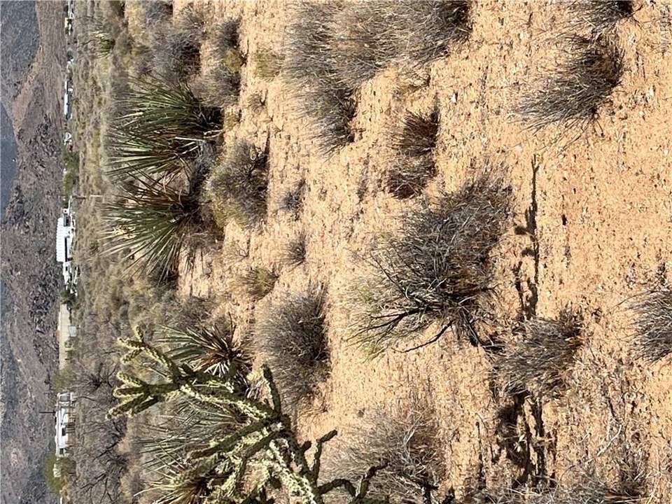 2.13 acres in Kingman in Kingman: Inside Lot 196 with Sparse High Desert Vegetation