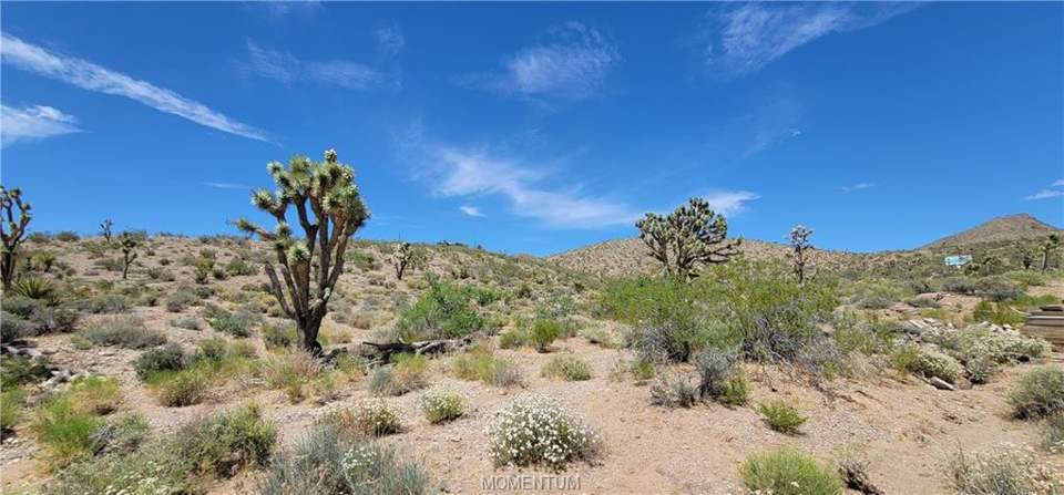 1.03 acres in White Hills in White Hills: View