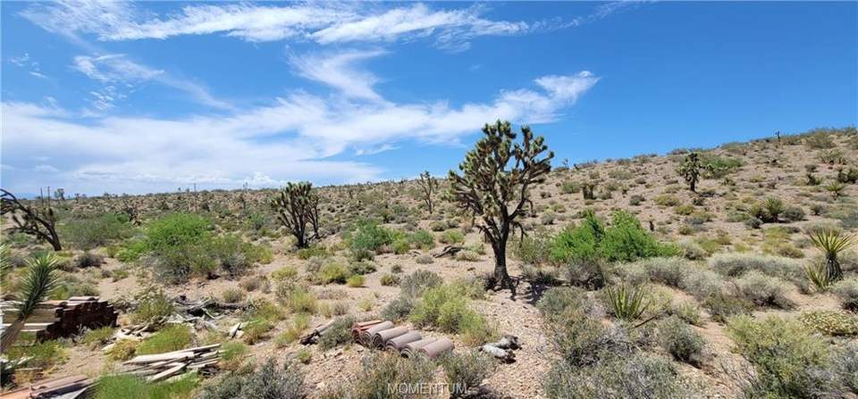 1.03 acres in White Hills in White Hills, photo 10