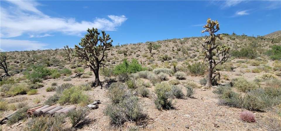 1.03 acres in White Hills in White Hills: View