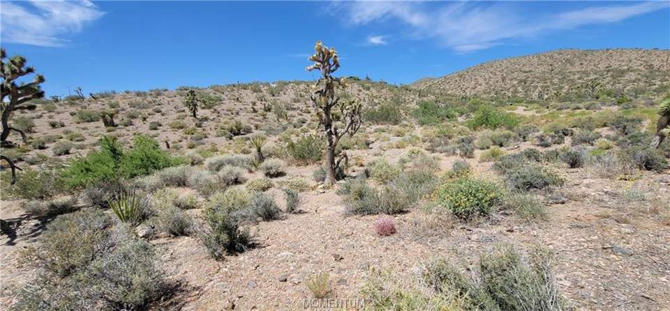 1.03 acres in White Hills in White Hills: View