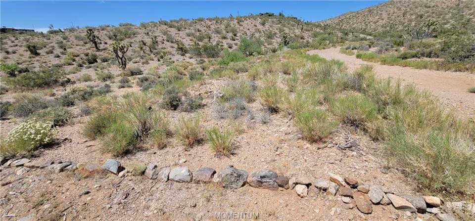 1.03 acres in White Hills in White Hills: View