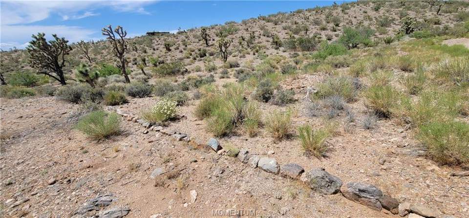 1.03 acres in White Hills in White Hills: View