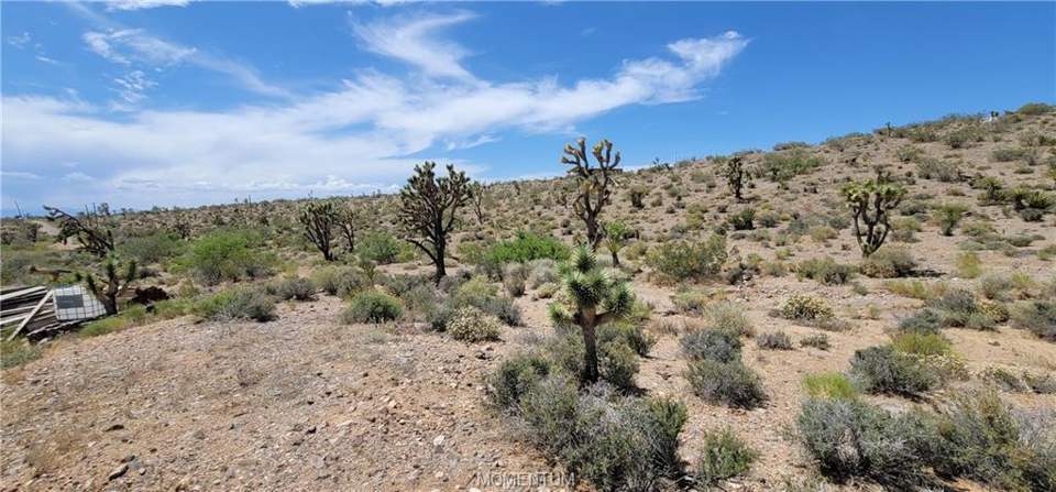 1.03 acres in White Hills in White Hills: View