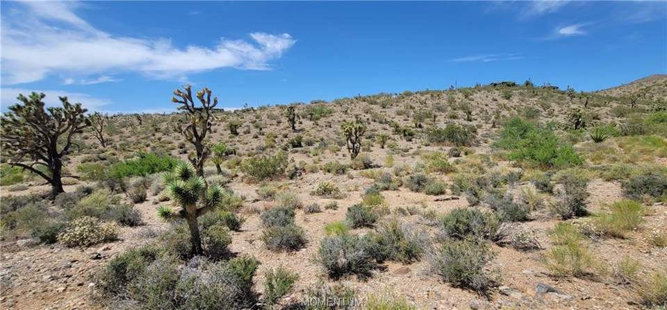 1.03 acres in White Hills in White Hills: View